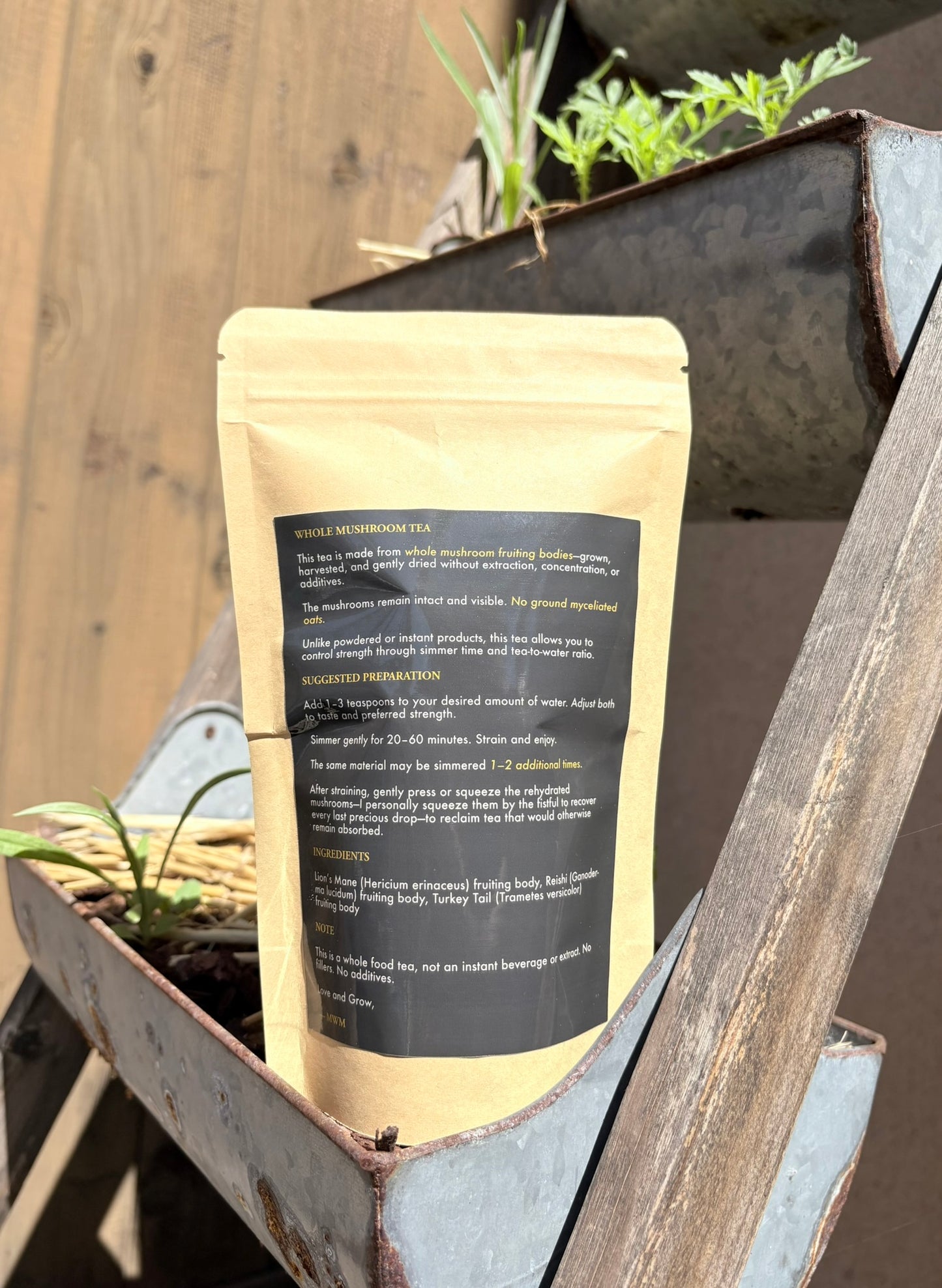 Many Worlds Mycology — Functional Mushroom Tea