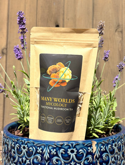 Many Worlds Mycology — Functional Mushroom Tea