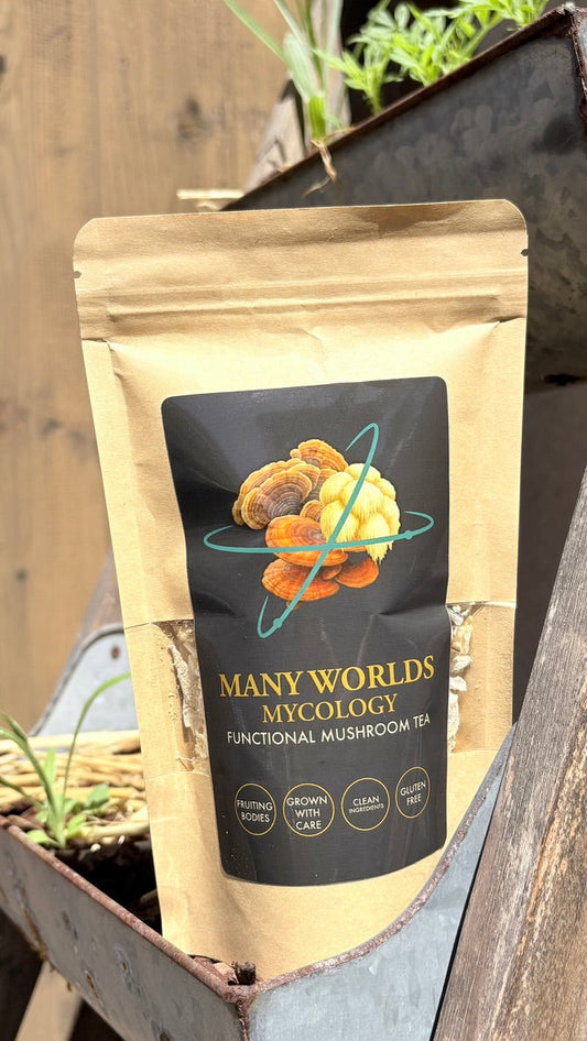 Many Worlds Mycology — Functional Mushroom Tea